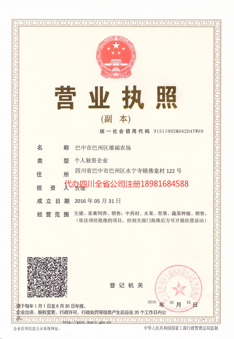 樟树樟树雄福农场